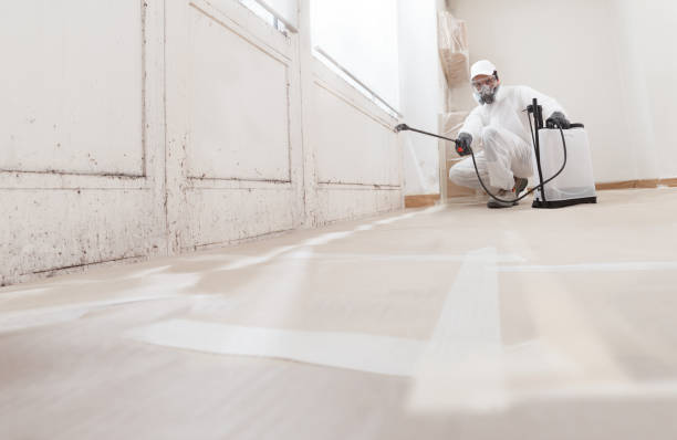 24/7 Emergency Mold Inspection experts in Williamston, MI